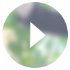 play Image